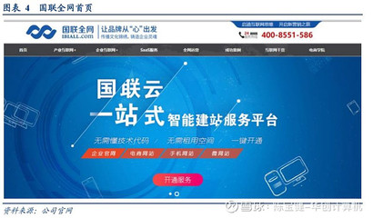 产业互联网领军者国联股份 深耕网上贸易代理，高增长前景可期